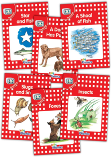 Jolly Phonics Readers - Nonfiction - Red Level (Pack Of 6)