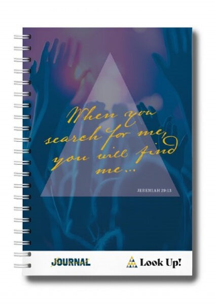 Look Up! Student Journal Transition Year